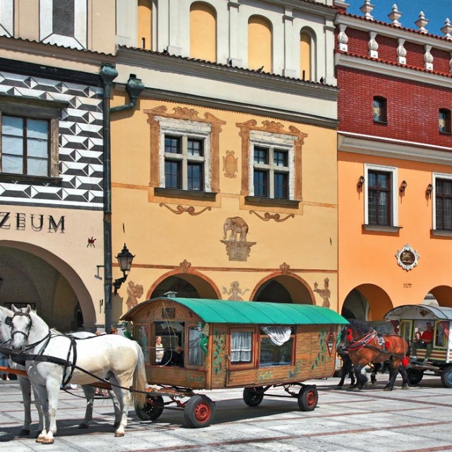 Foto de Erasmus en Tarnow 2026/27