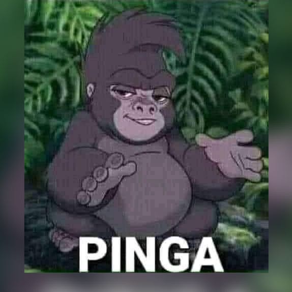 Foto de Grupo de Stickers