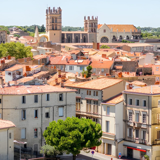 Foto de Erasmus Montpellier 2026-2027