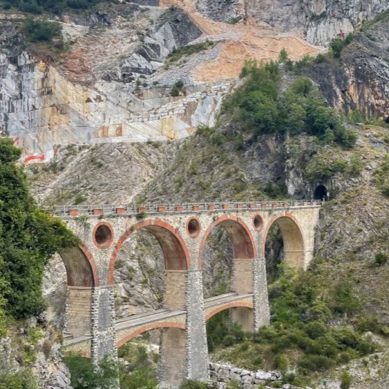 Foto de Erasmus Carrara 2026-2027