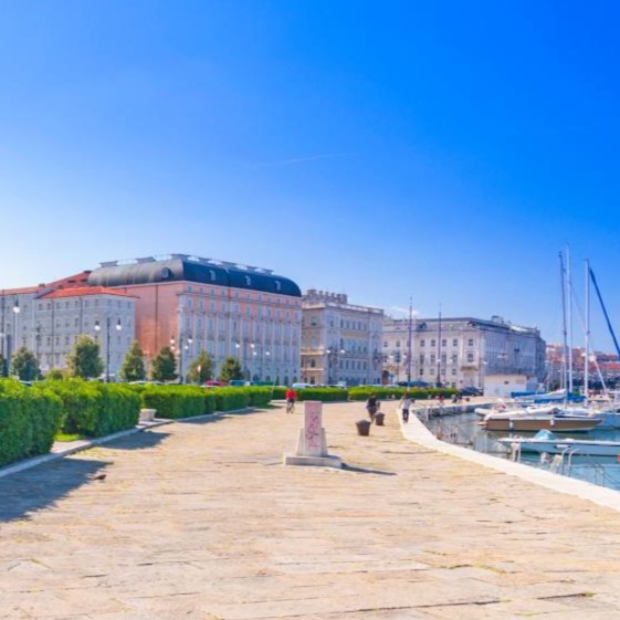 Foto de Erasmus Trieste 2026-2027