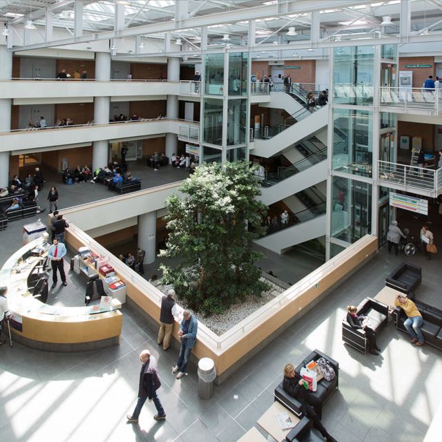 Foto de Erasmus en Campus Biomedico Roma 2026/27