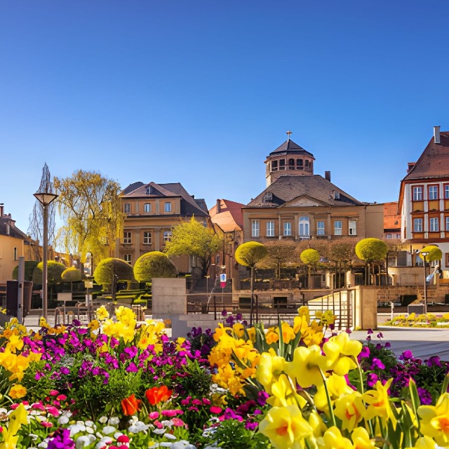 Foto de Erasmus Bayreuth 2026-2027