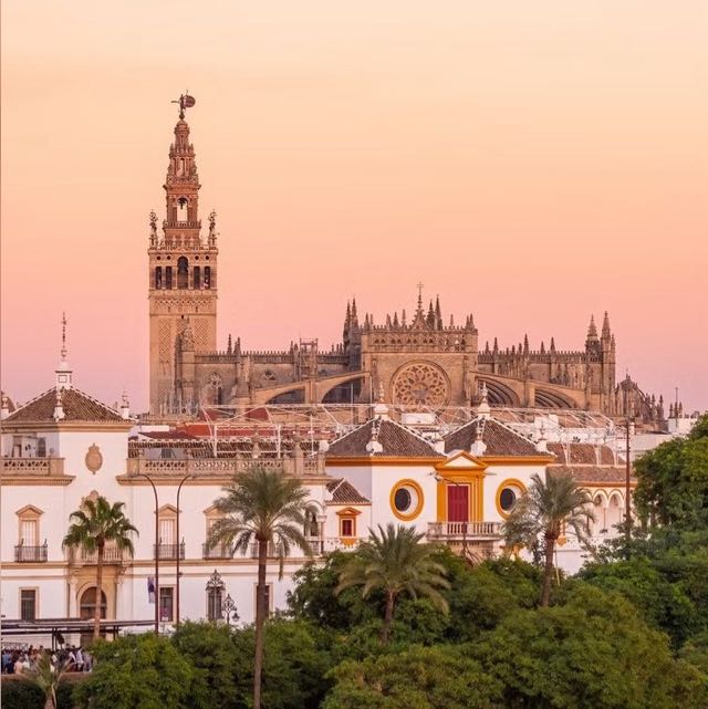 Foto de Sicue Sevilla 25/26