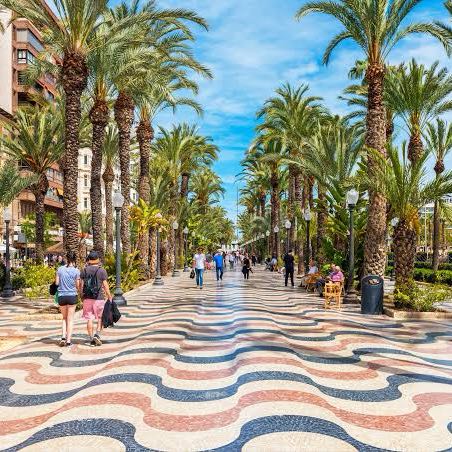 Foto de SICUE ALICANTE 2026/2027