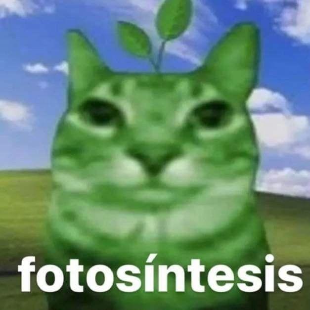 Foto de Biologia 2o US 2025/26