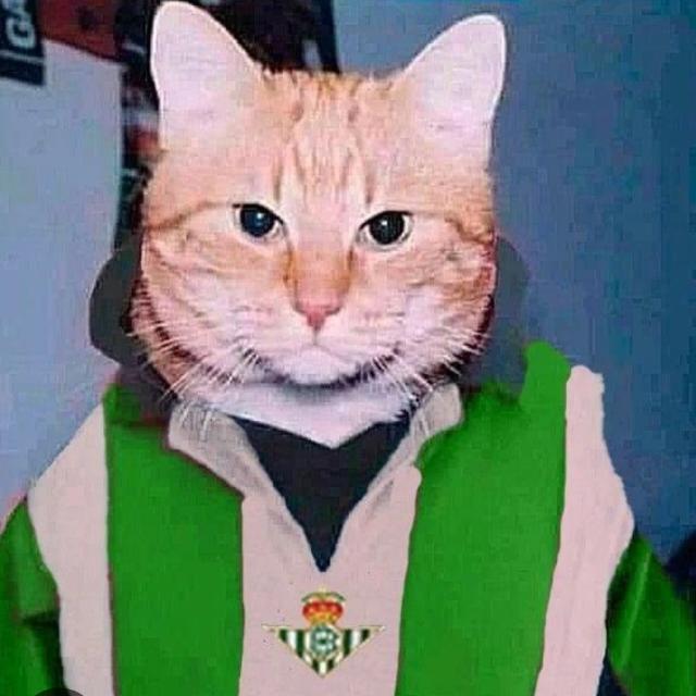 Foto de Criminologia 2o US 2025/26