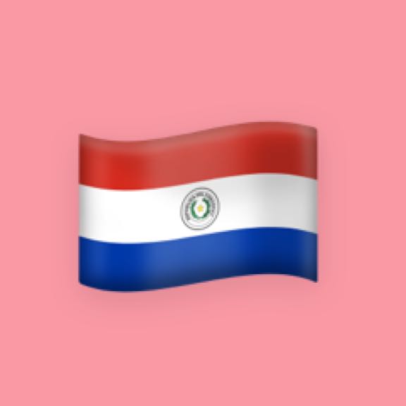 Foto de Paraguayitos por el mundo