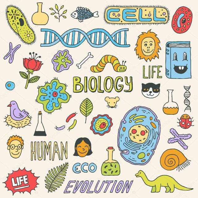 Foto de 1º BIOLOGÍA UGR 26/27