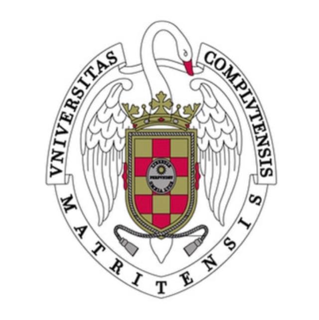 Foto de 1º DOBLE GRADO SOCIOLOGÍA + RELACIONES INTERNACIONALES UCM MADRID