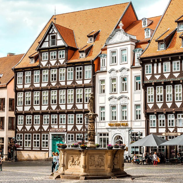 Foto de Erasmus en Hildesheim 2026/27