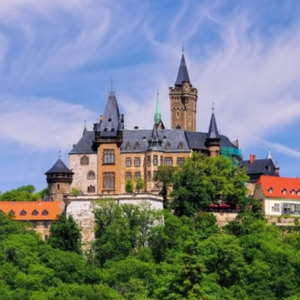 Foto de Erasmus en Wernigerode 2026/27