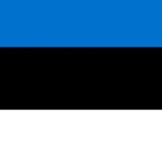 Foto de Erasmus en Estonia General 2026/27